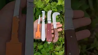 Best grafting knife #gardening #graft
