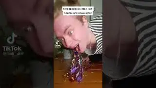 просыпаюсь 1 января от непонятных звуков😱           #shorts