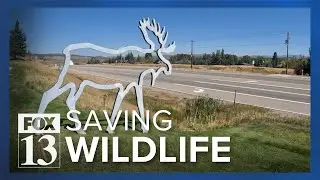 Silhouettes bring attention to wildlife crossings in Park City