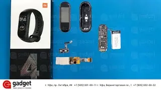 Обзор Xiaomi Mi Band 4: что внутри? Xiaomi Mi Band 4 disassemble fitness tracker