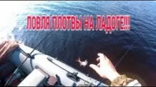 Рыбалка на ладоге. "Ладожская плотва 2019"!!!