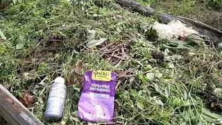 Компостная грядка. Чем пролить для быстрого получения компоста