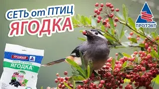 Сеть от птиц 