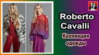 Коллекция одежды, Roberto Cavalli