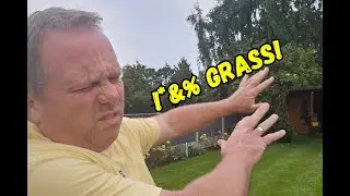 I stopped lawn care and this happened