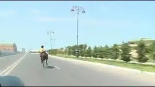 Батыр шабандоз қыз