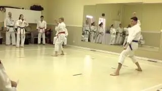 Heian Godan Shotokan Karate | Teen Brown Belts, Victoria vs Midwest Karate | IDSL Feb 2013
