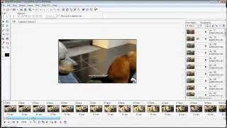 How to optimize gifs for tumblr.