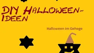 Schöne DIY Halloween Ideen - für deine Haustiere!