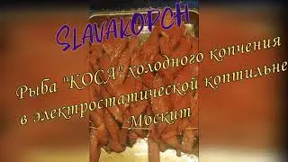 Рыба КОСА холодного копчения в электростатической коптильне 