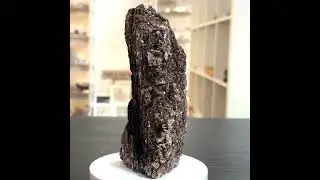 Black Tourmaline & Gold Mica - 215