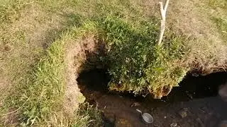 Родник в деревне Бабурино