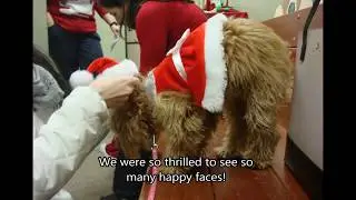 Pet Photos with Santa 2016