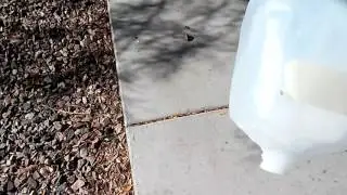 Aswome flip