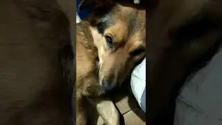 Поле Чудес - разбор сумки.
