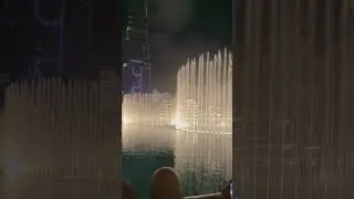 8 февраля 2024 г.