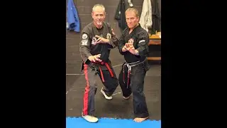 Jamie Seabrook Phasic Kombatives Kenpo Alliance (PKKA) Online Seminar - Category Completion