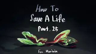 How to save a life MAP Part 25