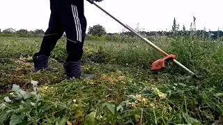 Рабочие моменты.
