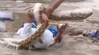 El bebé | Culebra 😂#bromas