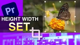 Crop Video aspect ratio in Premiere Pro - Shorts creators,must know !
