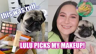MY DOG PICKS MY MAKEUP!! | Stay at home glam