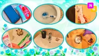The Dirtiest Things in Your Home & How To Clean Them!