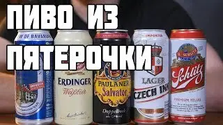 ИМПОРТНОЕ ПИВО ИЗ ПЯТЕРОЧКИ