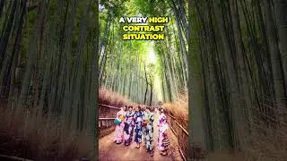 🎌🗾😎📸Unleashing the BEAUTY of the Bamboo Grove 