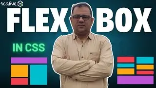 CSS Flex Box | Lecture 20  #css #webdevelopment #scalive