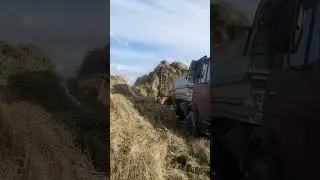 4 сентября 2023 г.