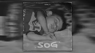SOG - MEER X | Prod. by @mirza.wav109 (Official Audio)
