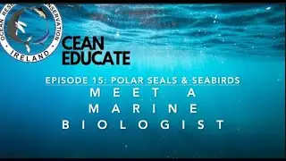 Meet a Marine Biologist   Episode 15