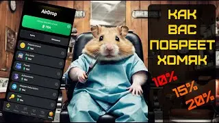 😱Насколько сильно Hamster побреет с дропом? Новые критерии выдачи токенов!