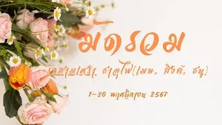 มัดรวม #รักสามเศร้า ธาตุไฟ(เมษ, สิงห์, ธนู) 1-30 พฤศจิกายน 2567