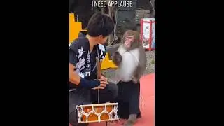 I need applause Monky in Japan #Shorts