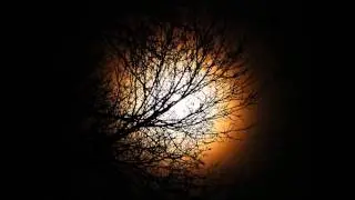 Advanced Dreams - Monotone (Live Mix)