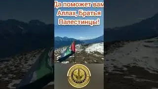 Да поможет вам Аллах, Братья Палестинцы!
