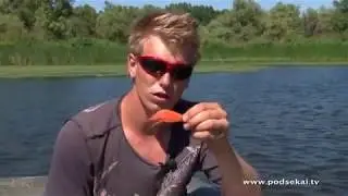 Ловля окуня нахлыстом
