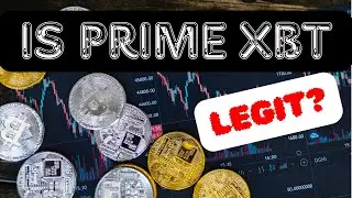 Is PrimeXBT Legit? | A Deep Dive (2024)