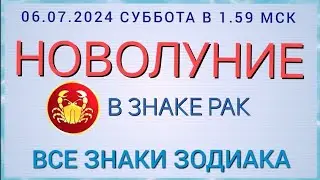 4 июля 2024 г.