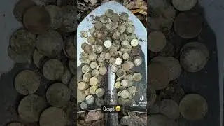 Скарб 😄 Скоро відео на каналі )