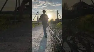 С летом! Несу дерево для костра