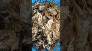 how to fry crispy and perfect fish#ghanafood#fish#friedfish#short#shortvideo#shorts#recipe#food#food
