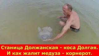 Станица Должанская - коса Долгая. И как жалит медуза - корнерот.