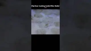 Microscopic View of Fake Chinese Filter Media