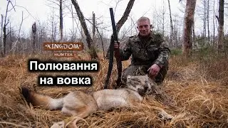 Полювання на вовка
