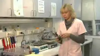 Первый канал: новый вкус осетровой икры