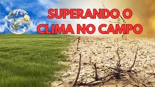 Superando o Clima no Campo