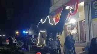 Onta Arab Takbir Keliling Idul Adha 1445 H